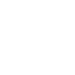 silky white logo
